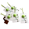 Chocofifee Chocofifee