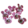 Mickey cu pietricele din ciocolata